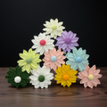 Lavender Chrysanthemum